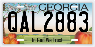 GA license plate QAL2883