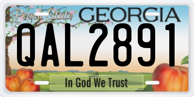 GA license plate QAL2891