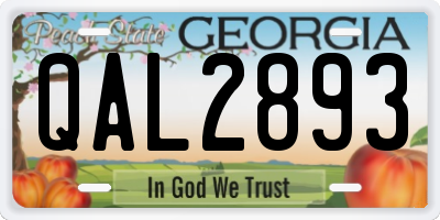 GA license plate QAL2893