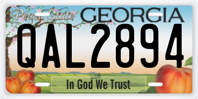 GA license plate QAL2894