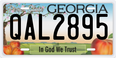 GA license plate QAL2895