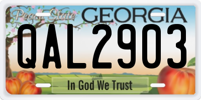 GA license plate QAL2903