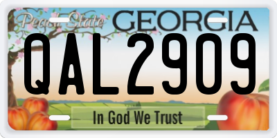 GA license plate QAL2909