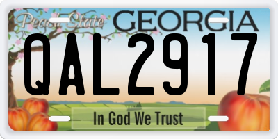 GA license plate QAL2917