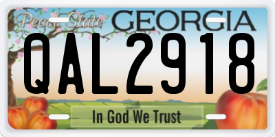 GA license plate QAL2918