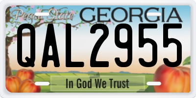 GA license plate QAL2955