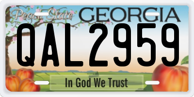GA license plate QAL2959