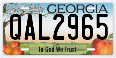 GA license plate QAL2965