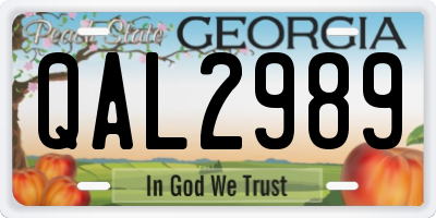 GA license plate QAL2989