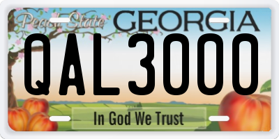 GA license plate QAL3000