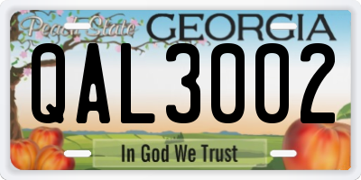 GA license plate QAL3002