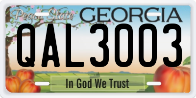 GA license plate QAL3003