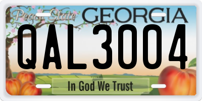 GA license plate QAL3004