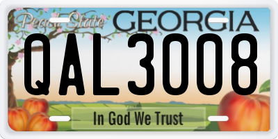 GA license plate QAL3008