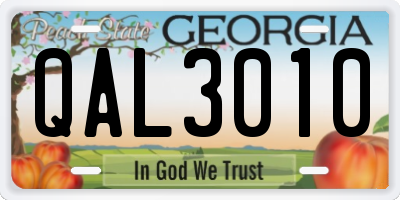 GA license plate QAL3010