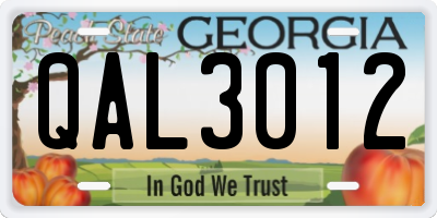GA license plate QAL3012
