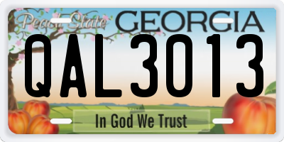 GA license plate QAL3013