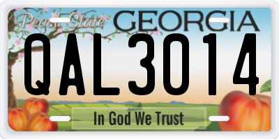 GA license plate QAL3014