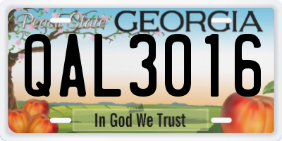 GA license plate QAL3016