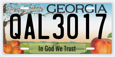 GA license plate QAL3017
