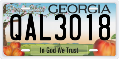 GA license plate QAL3018