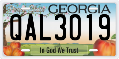 GA license plate QAL3019