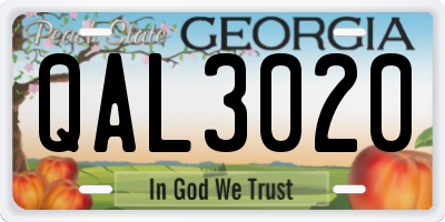 GA license plate QAL3020