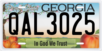 GA license plate QAL3025