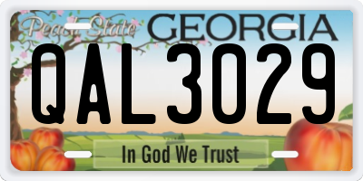 GA license plate QAL3029