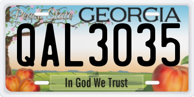 GA license plate QAL3035