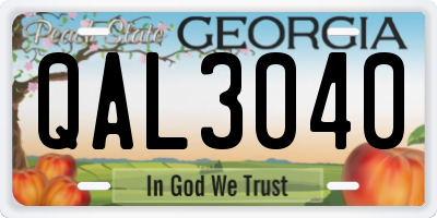 GA license plate QAL3040