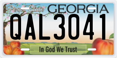 GA license plate QAL3041