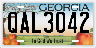 GA license plate QAL3042