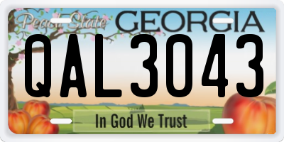 GA license plate QAL3043