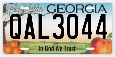GA license plate QAL3044