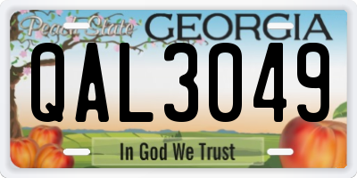 GA license plate QAL3049