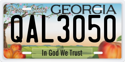 GA license plate QAL3050