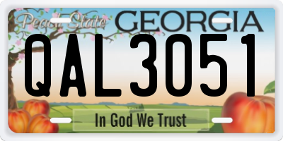 GA license plate QAL3051