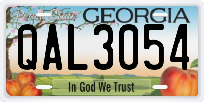 GA license plate QAL3054