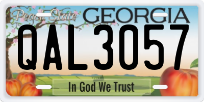 GA license plate QAL3057