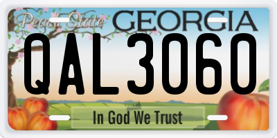 GA license plate QAL3060