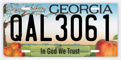 GA license plate QAL3061