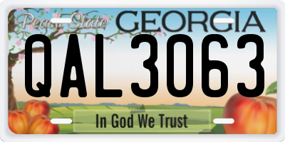 GA license plate QAL3063