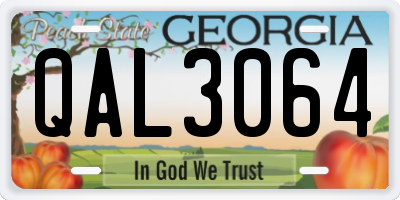 GA license plate QAL3064