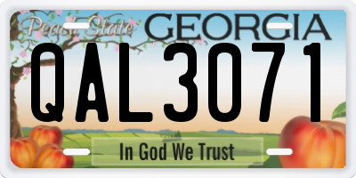 GA license plate QAL3071