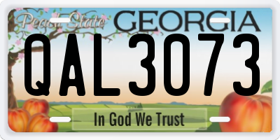 GA license plate QAL3073