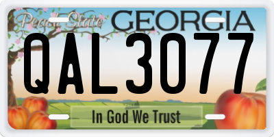 GA license plate QAL3077