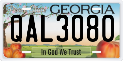 GA license plate QAL3080