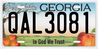 GA license plate QAL3081