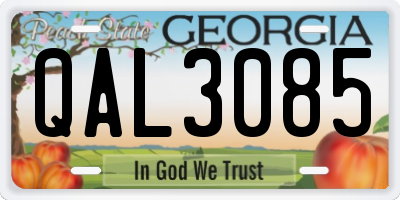 GA license plate QAL3085
